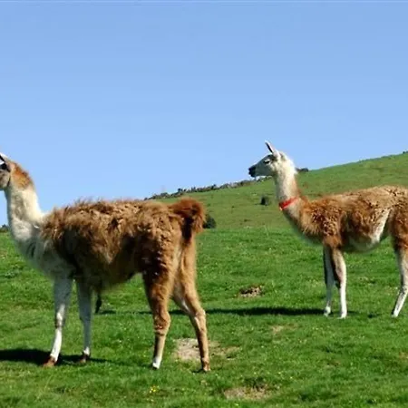 Confort 8 Pers, 2 Chambres, Terrasse, Buanderie, Pres Des Pistes - Fr-1-404-146 Lägenhet La Mongie