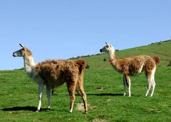 Confort 8 Pers, 2 Chambres, Terrasse, Buanderie, Pres Des Pistes - Fr-1-404-146 アパート ラ・モンジー